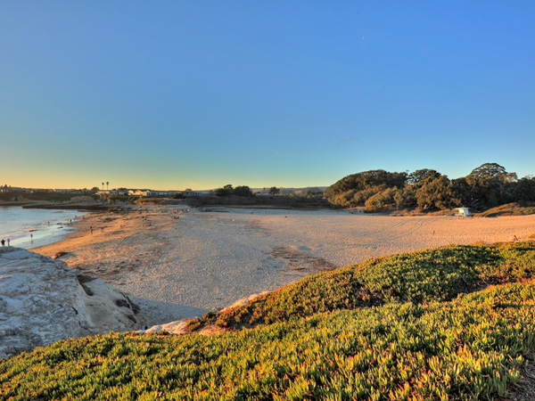 Santa Cruz Vacation Rental - 1600 West Cliff - Natural Bridges State Beach